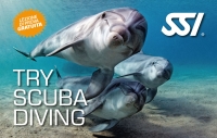 Try Scuba Diving - Corso base di Subacquea