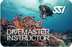 Dive Master Instructor	